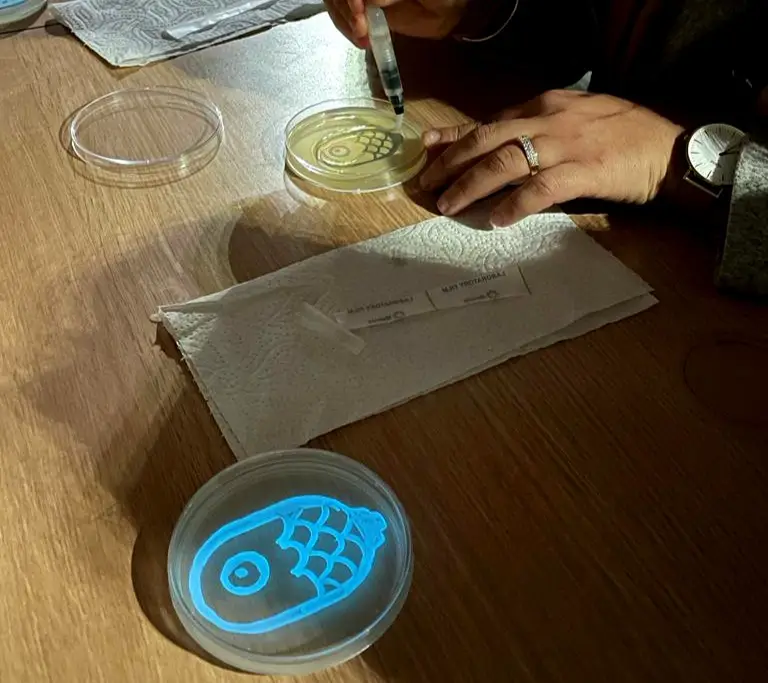 bioluminescent liquid testing with the Glowee swoosh